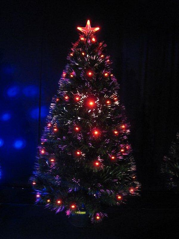Sapin fibre optique