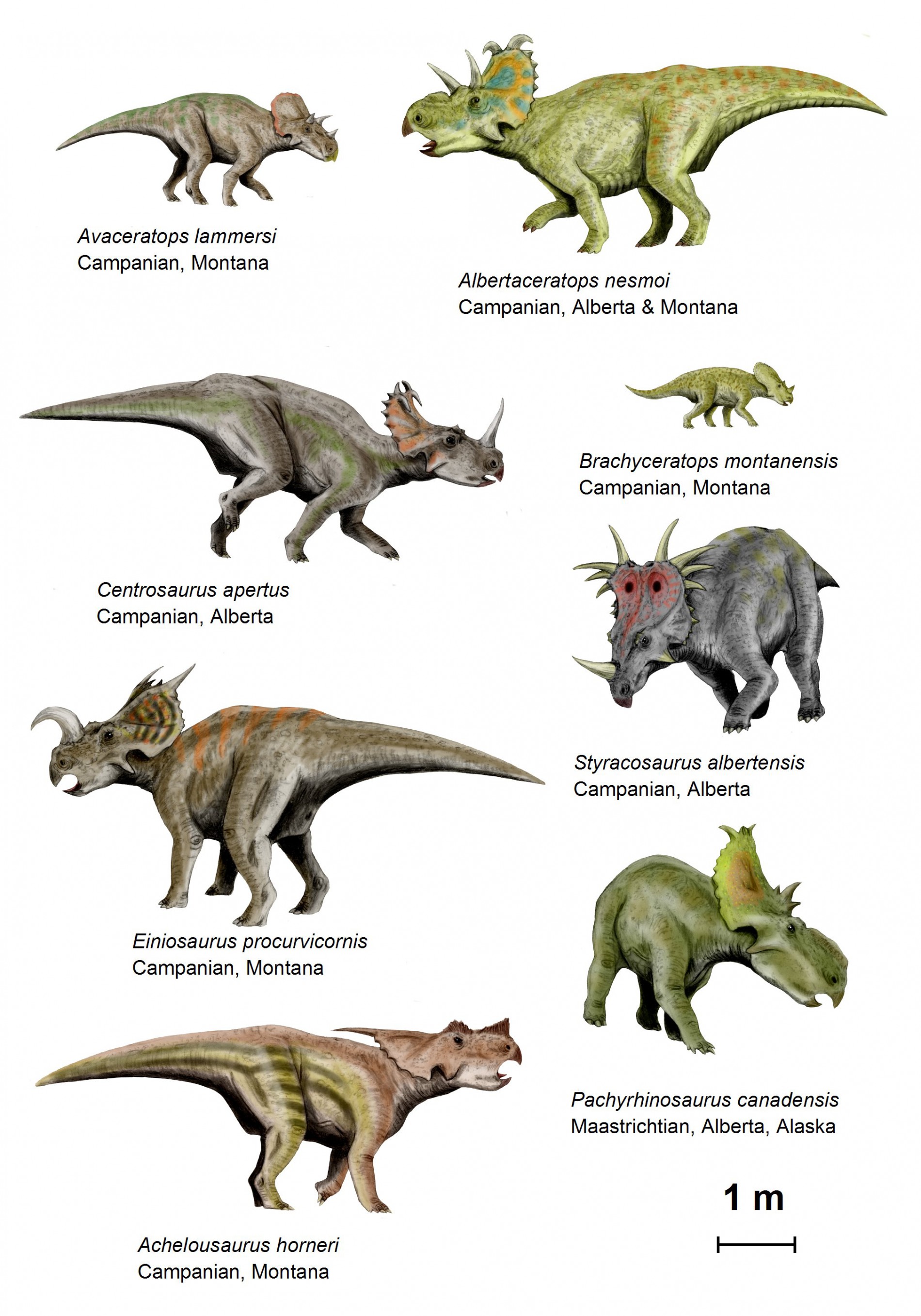 Les types de dinosaures