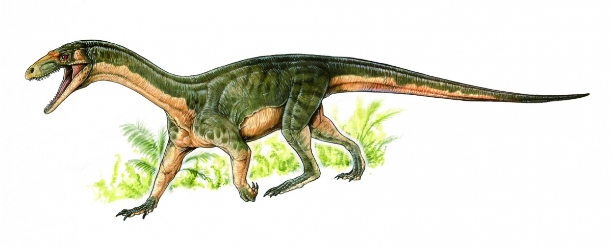 Les premiers dinosaures