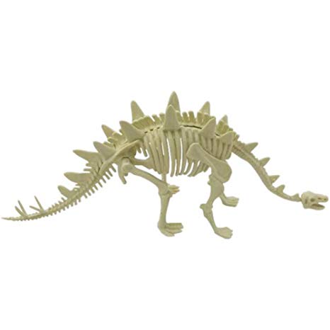 Fossile dinosaure jouet