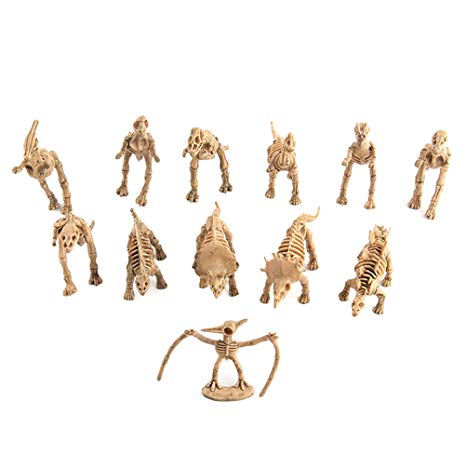 Squelette dinosaure jouet