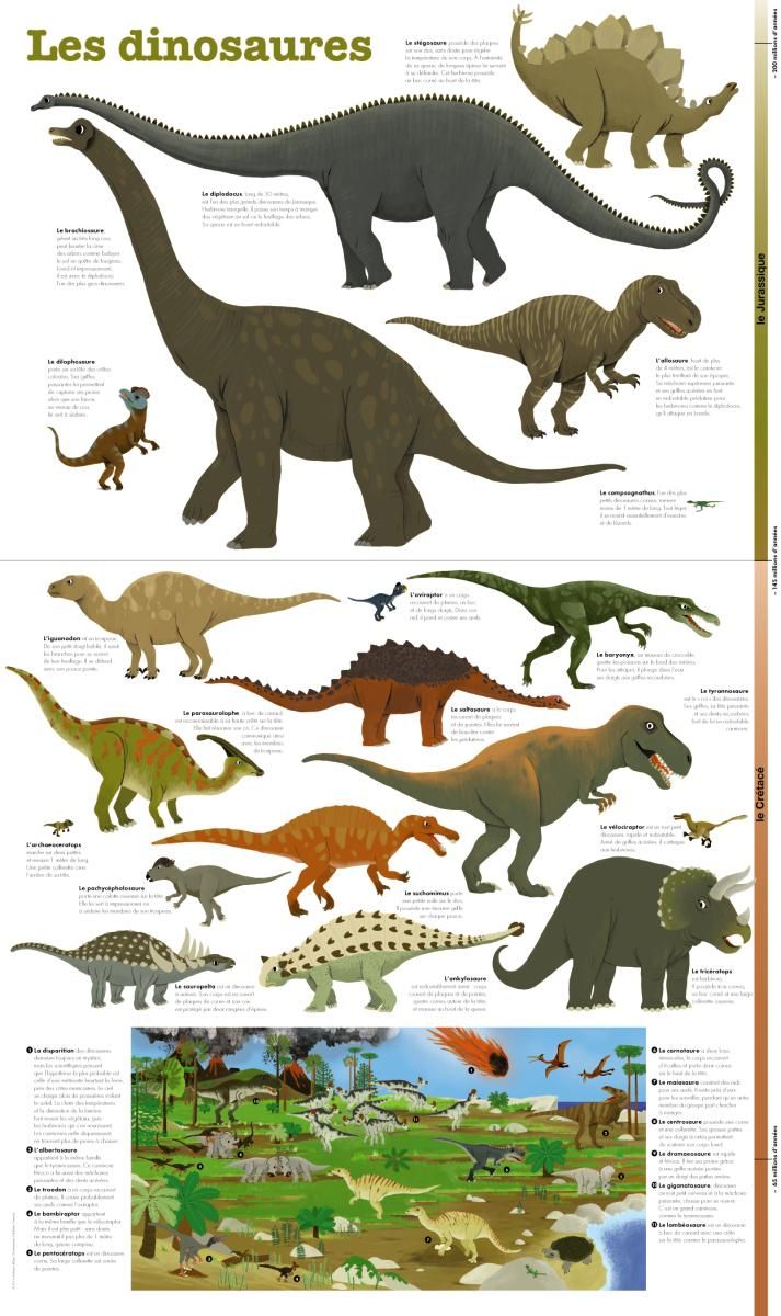 Toutes les especes de dinosaures