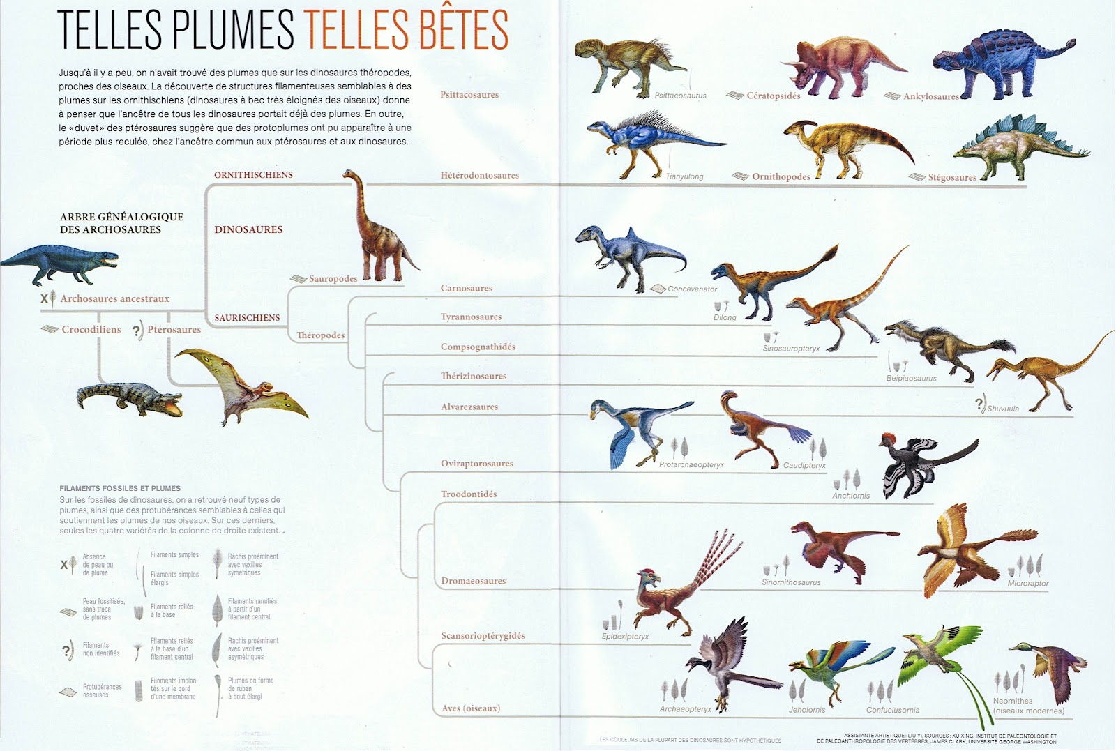 Types de dinosaures