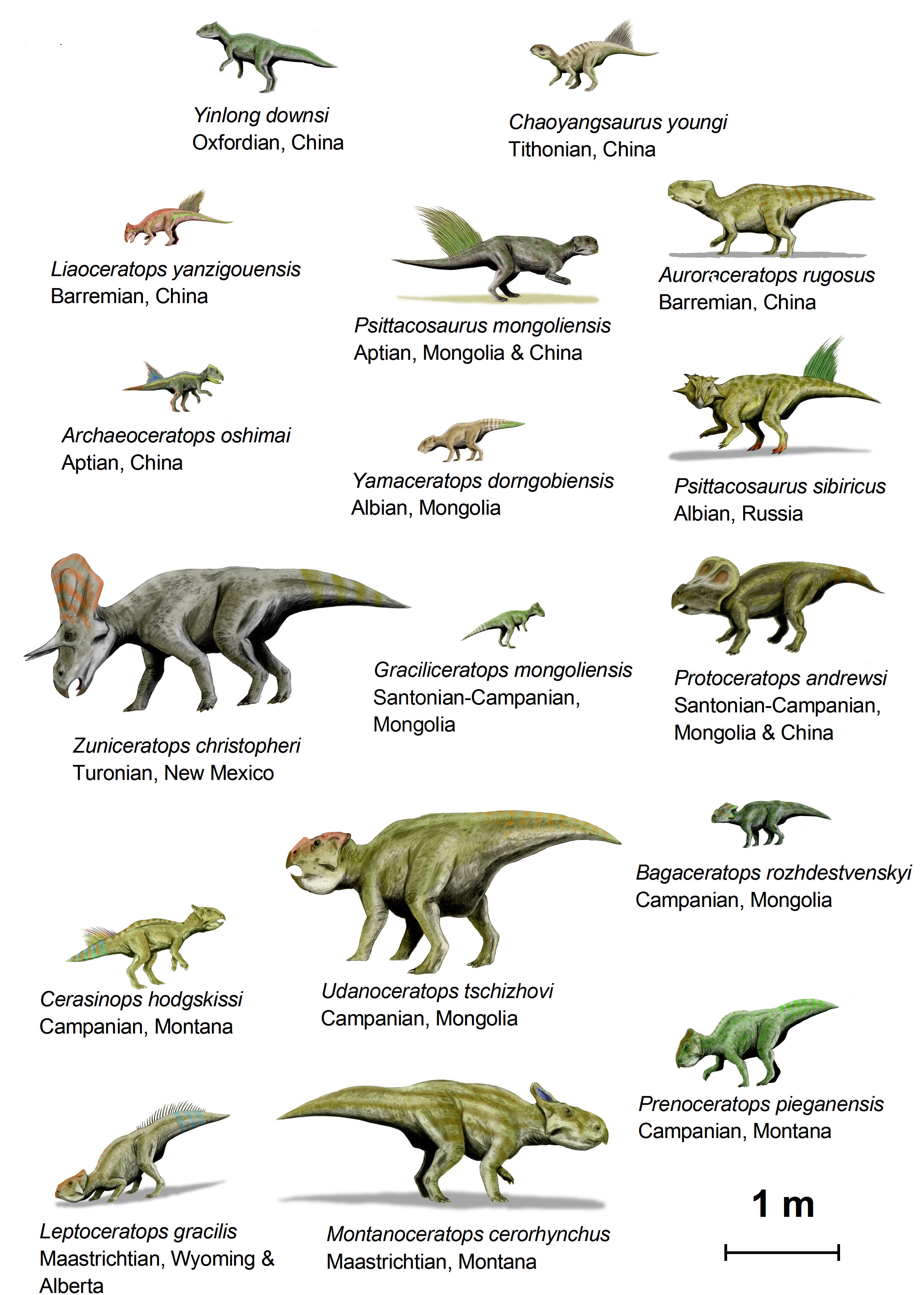 Famille des dinosaures