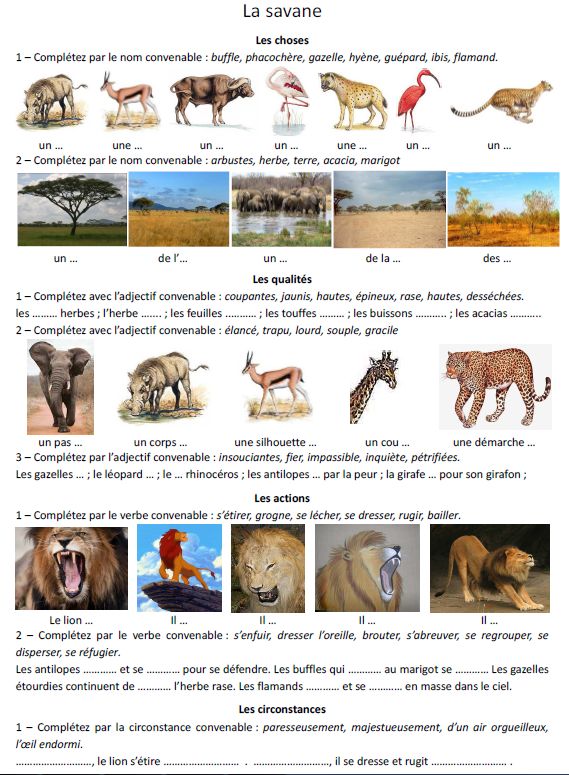 Liste animaux de la savane