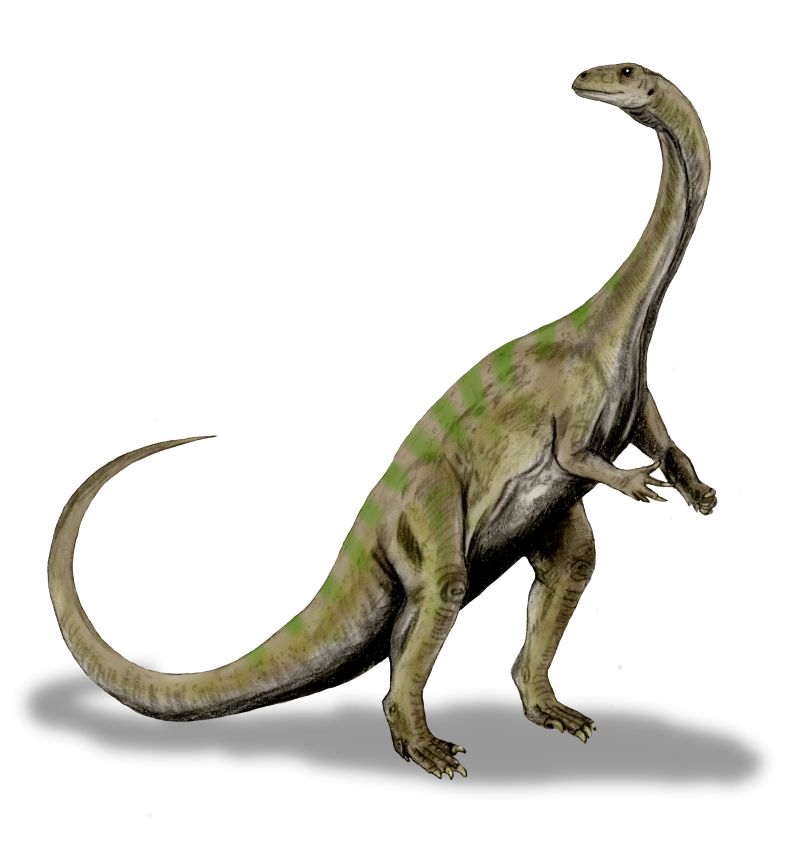 Wikipedia dinosaure