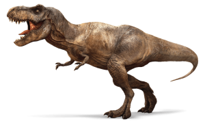 Les noms des dinosaures