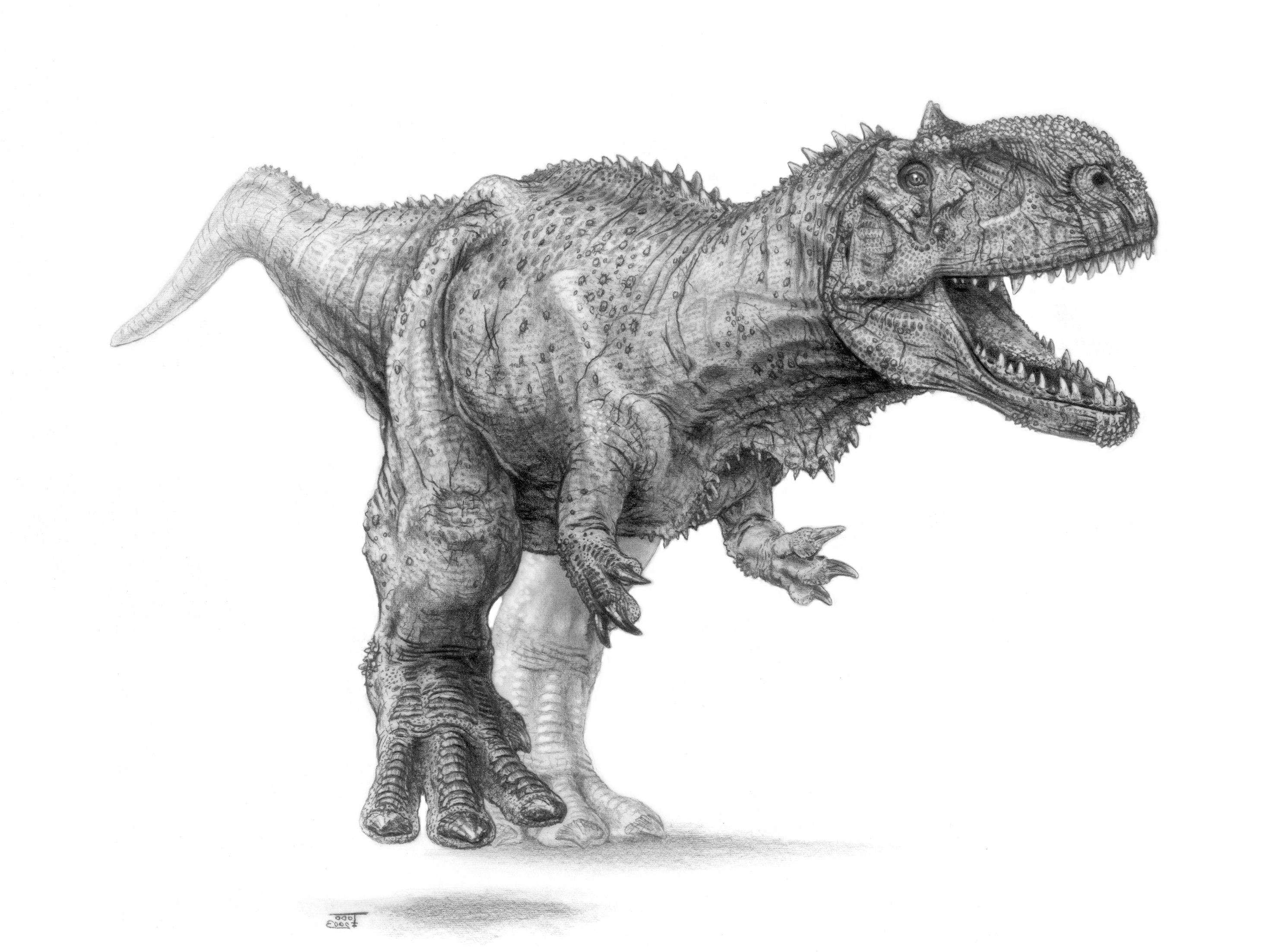 Image de dinosaure carnivore