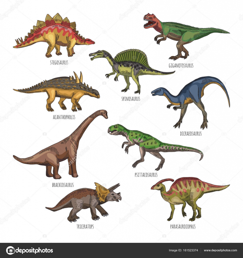 Les sortes de dinosaures