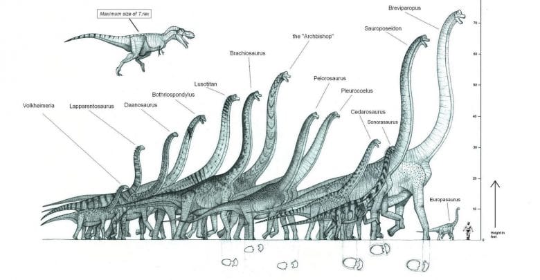 Quel est le plus grand dinosaure