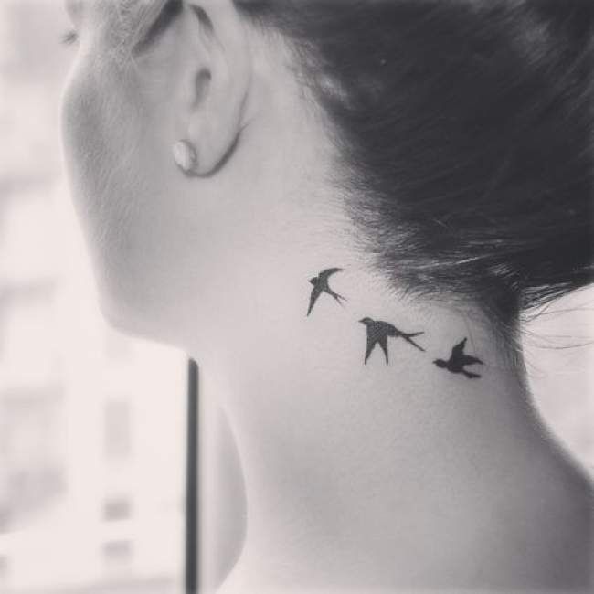 Photo tatouage oiseaux