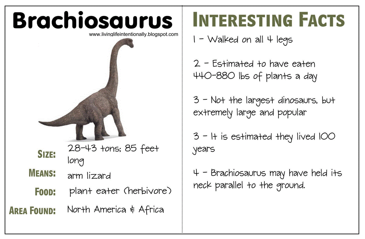 Dinosaure info