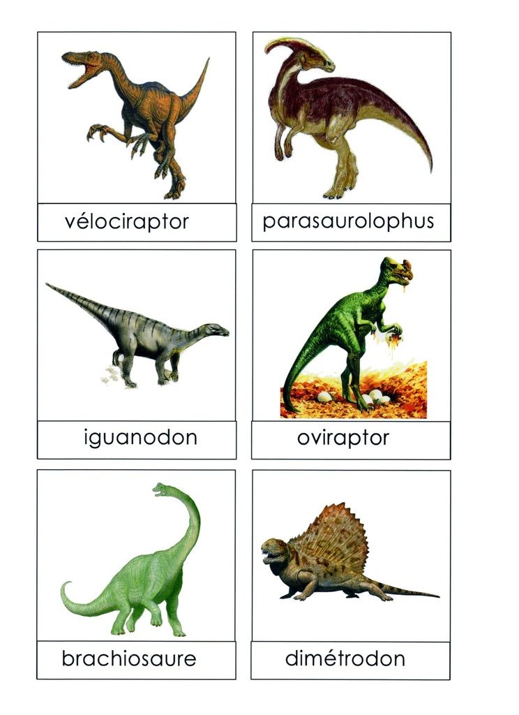 Tous les noms des dinosaures