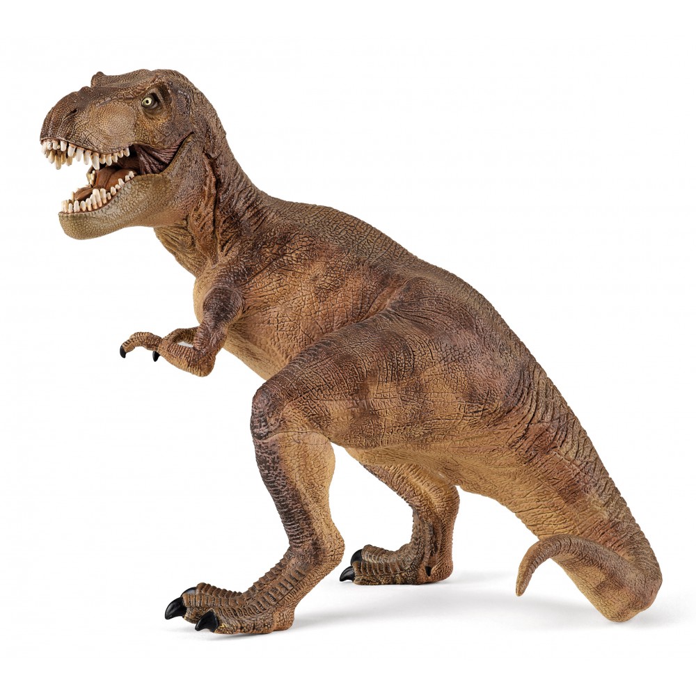 T rex dinosaure jouet