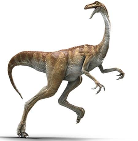 Dinosaure du jurassique
