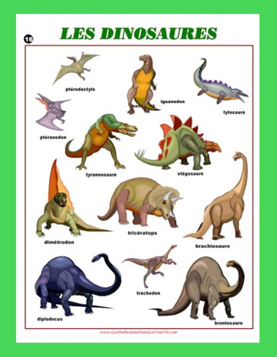 Liste des dinosaures avec photos