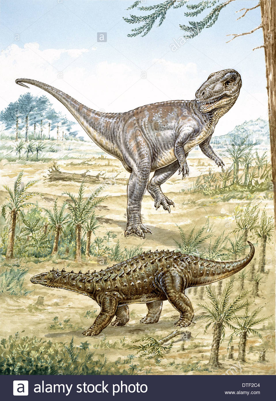 Dinosaures du jurassique