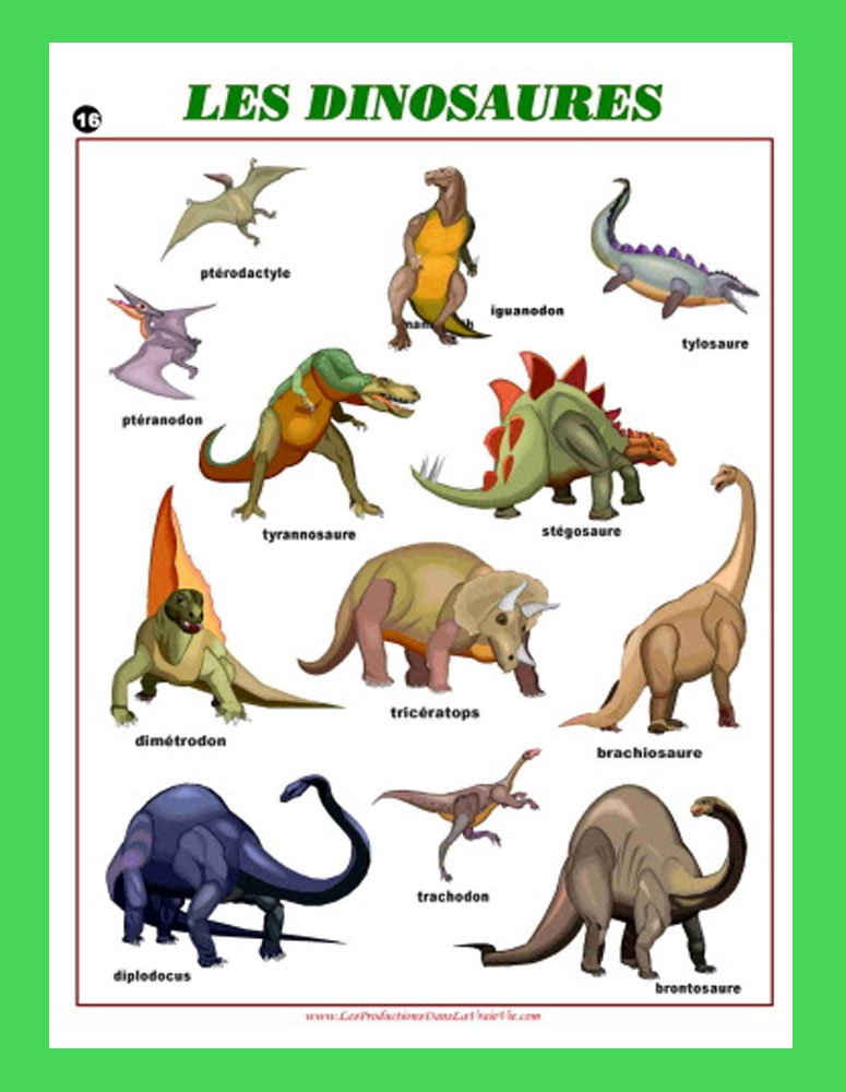 Nom des dinosaures avec images