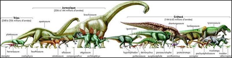 Dinosaure dictionnaire