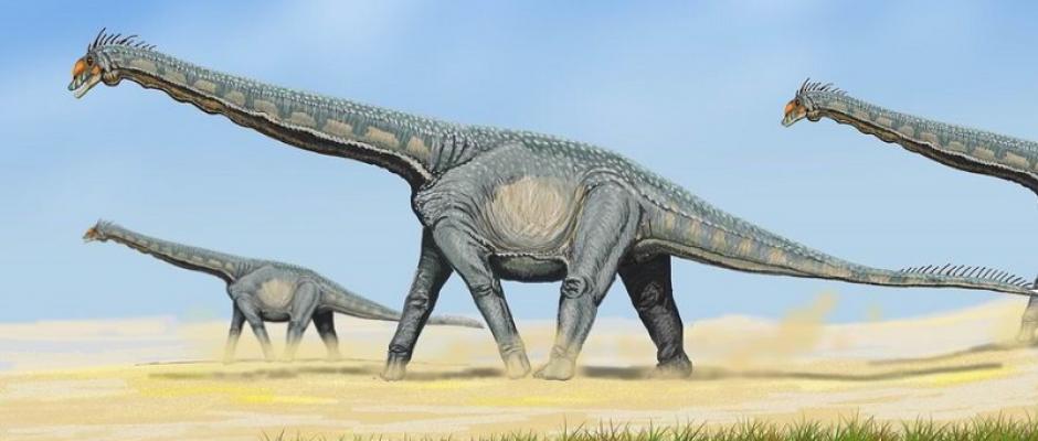 Grand dinosaure herbivore