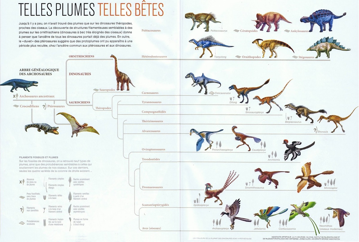 Dinosaure et leur nom