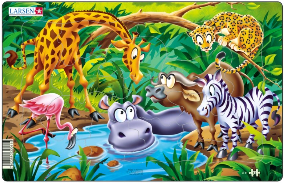Image animaux jungle