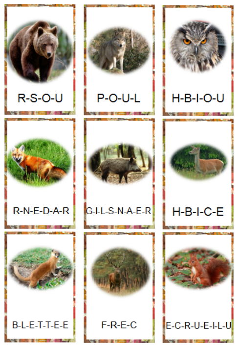 Liste des animaux de la foret