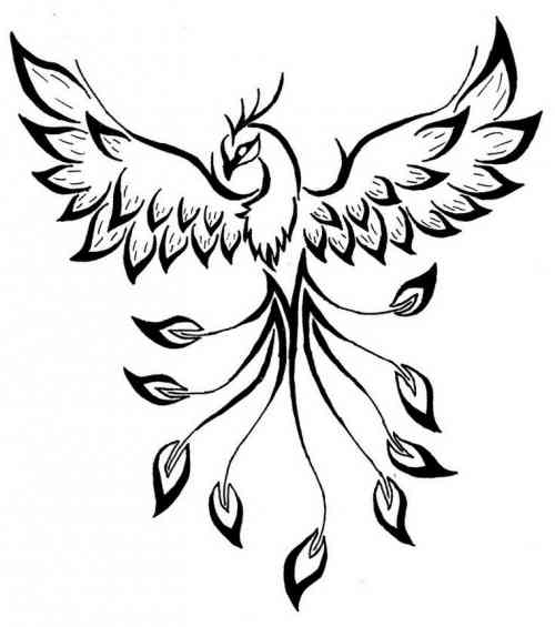 Phoenix dessin tatouage