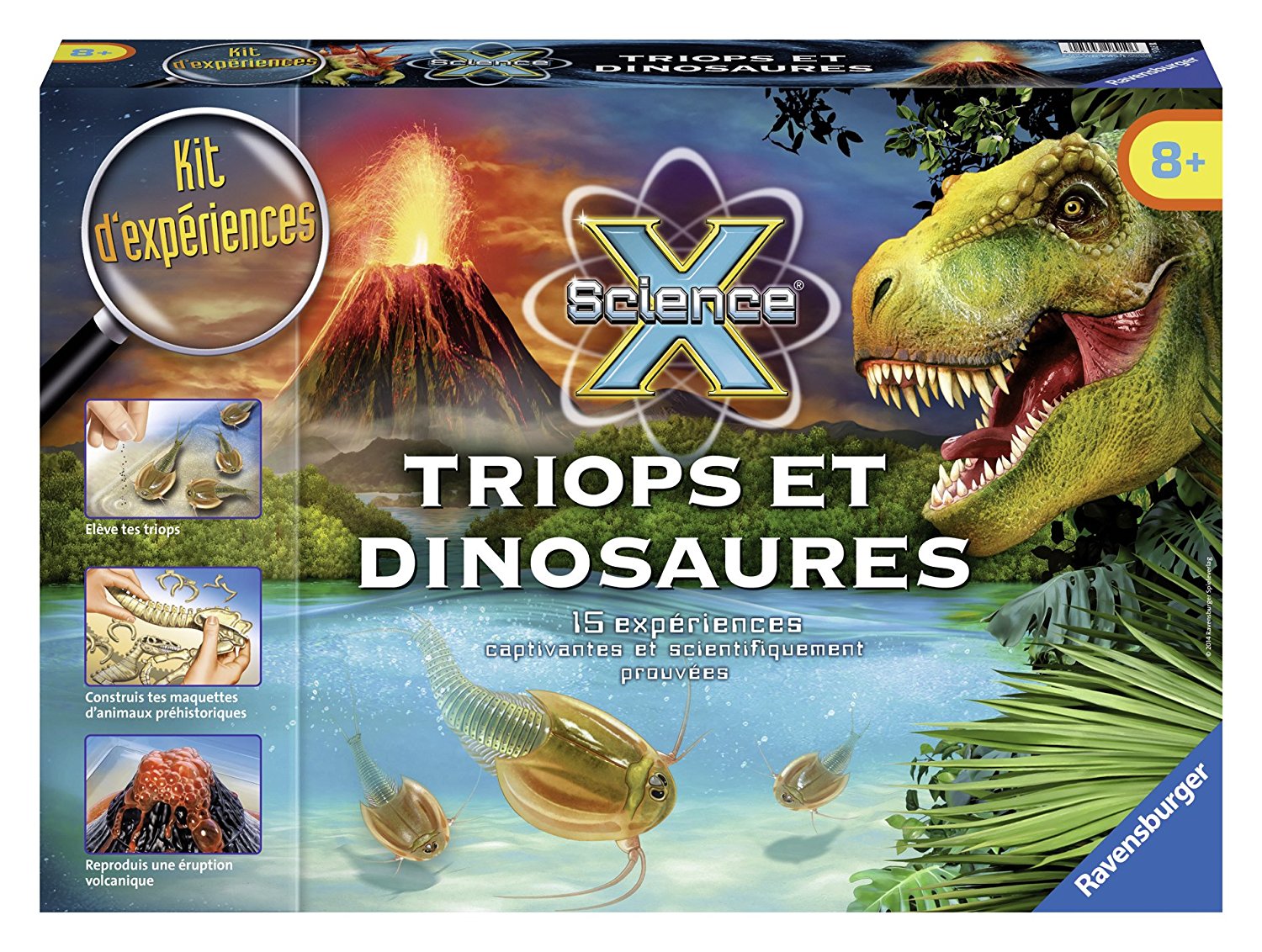 Dinosaure jeux
